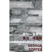 猶如一隻黑鳥